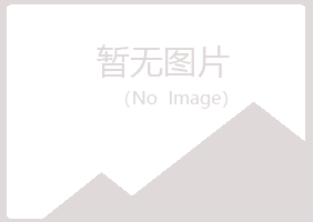 休宁县女孩金属有限公司